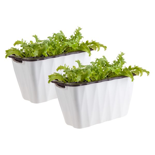 1-SOGA 2X 35cm Small White Rectangular Flowerpot Vegetable Herb Flower Outdoor Plastic Box Garden Decor