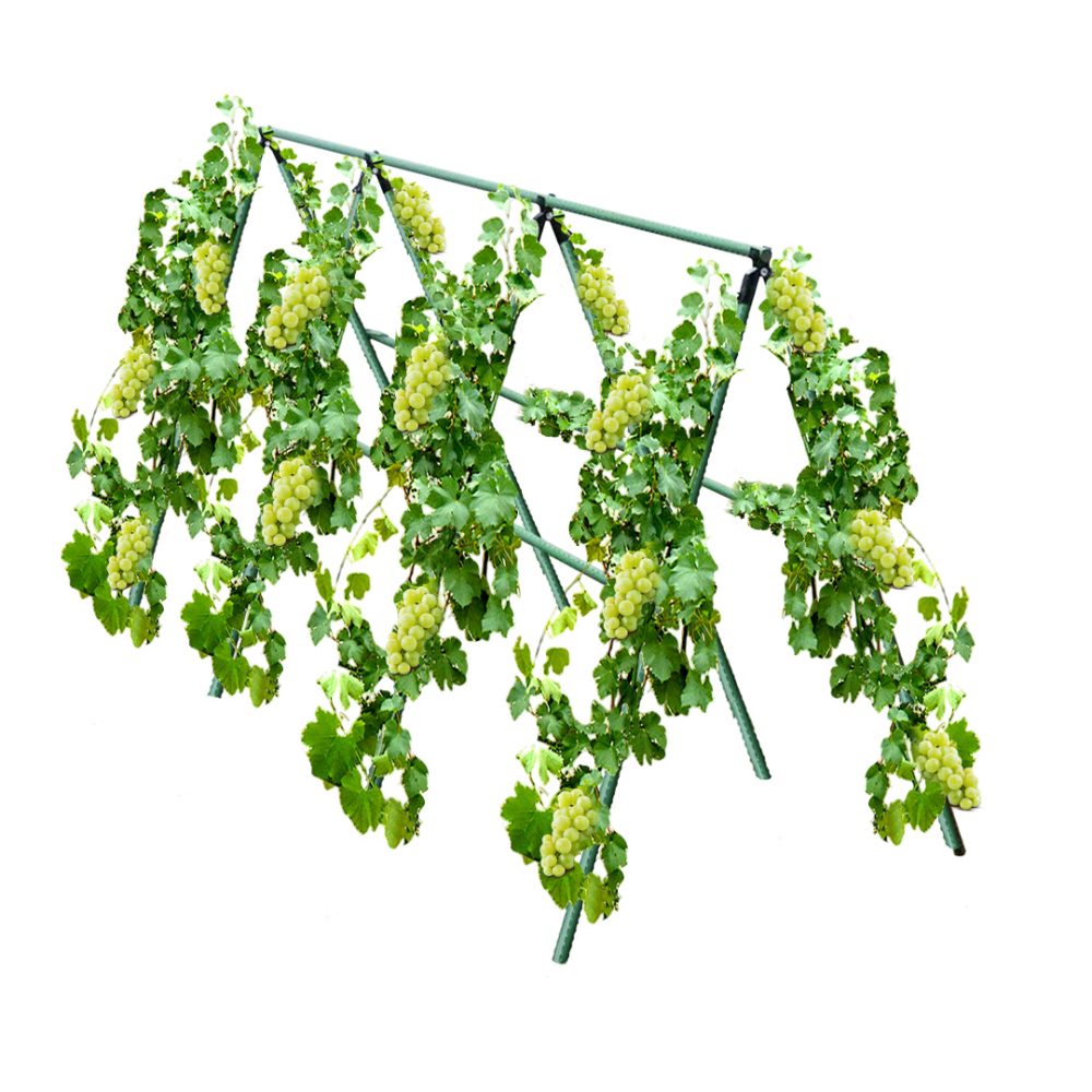 1-SOGA 120cm Plant Frame Tube Trellis Vegetable Flower Herbs Outdoor Vine Support Adjustable Garden Rack