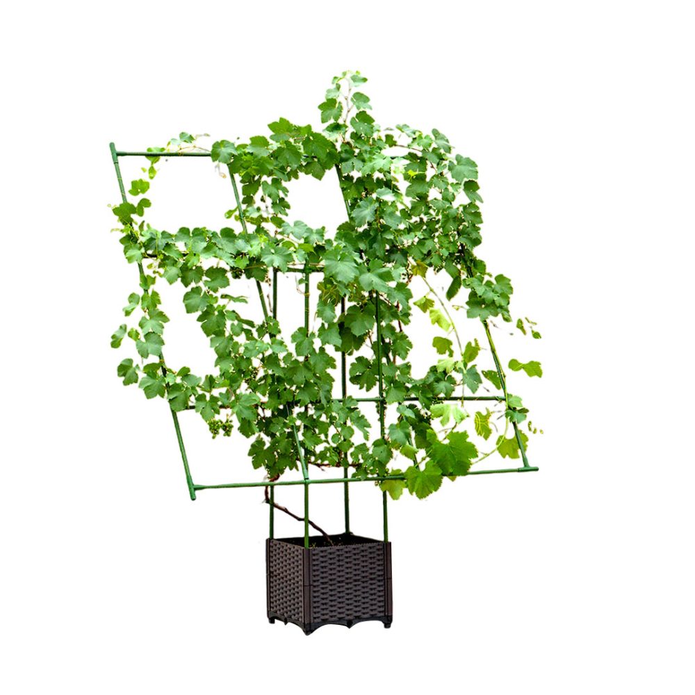 1-SOGA 160cm Rectangular Inclined Plant Frame Tube Pergola Trellis Vegetable Flower Herbs Outdoor Vine Support Garden Rack