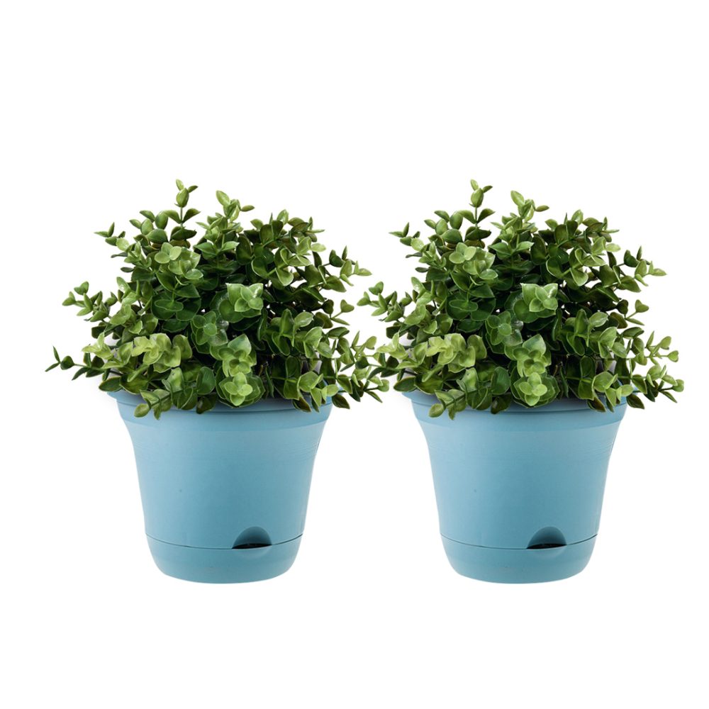 1-SOGA 19.5 cm Blue Plastic Plant Pot Self Watering Planter Flower Bonsai Outdoor Garden Decor Set of 2