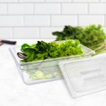 3-SOGA 100mm Clear Gastronorm GN Pan 1/2 Food Tray Storage Bundle of 2 with Lid